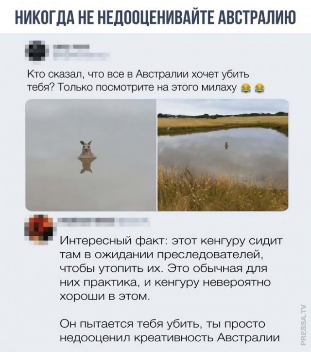 Картинки и мемы для настроения 028