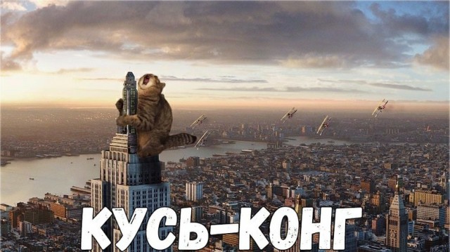 Галюциногенные коты в коллажах Мэтта Маккарти