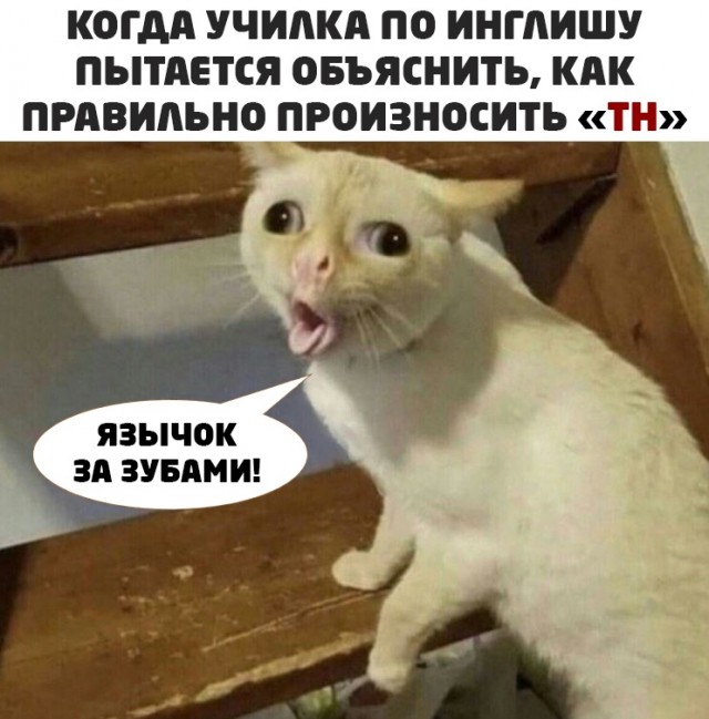 С днём Святого Валентайна! Night Edition 14.02.21
