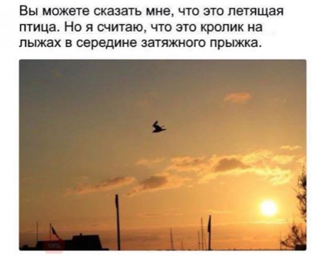 Не очень адекватный юмор
