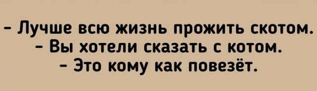 Картинки с надписями и всякие жизненные фразы