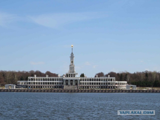 20 весёлых фотографий, которые отвлекут вас от новостной чернухи и уберегут мозг от закипания