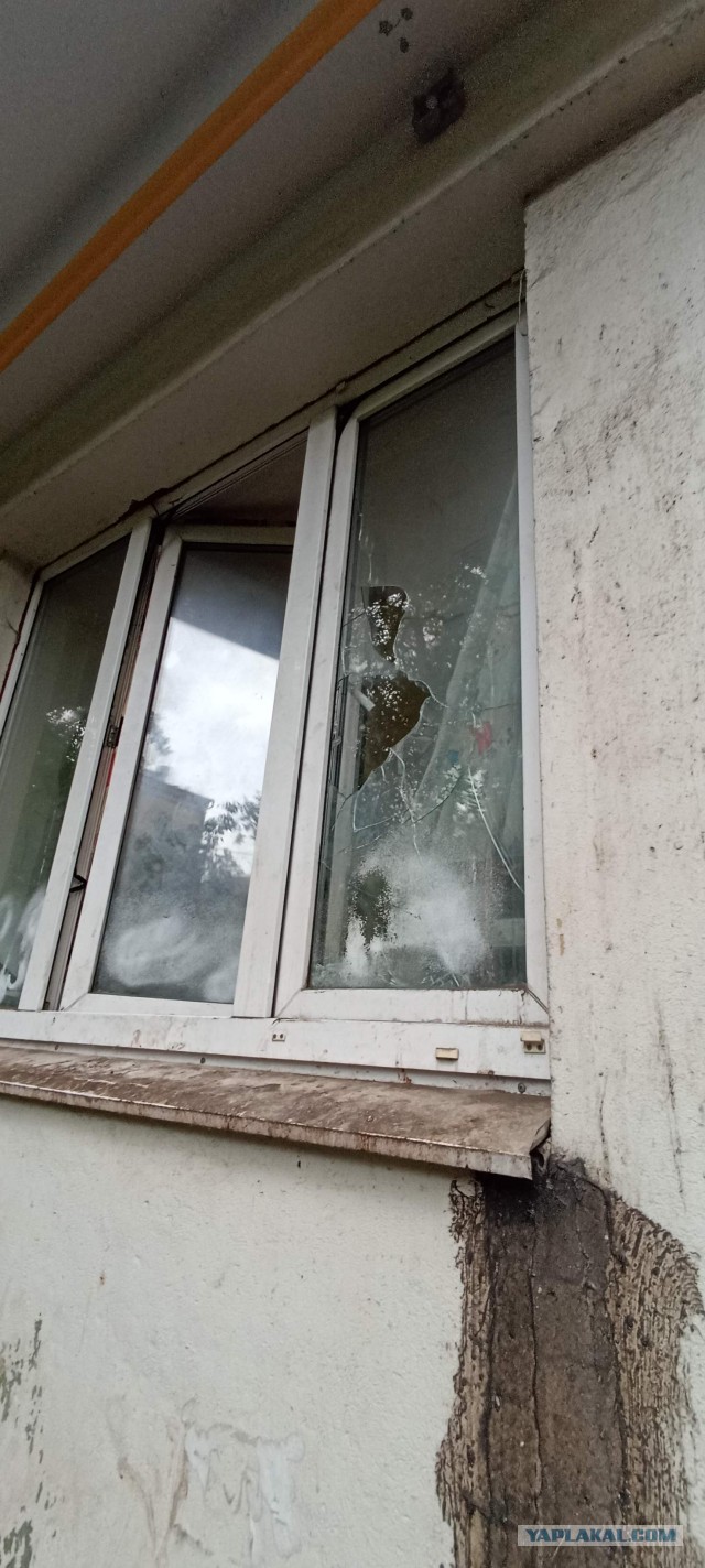 В Измайловском парке неизвестные начали издеваться над женщиной и распылили ей в лицо перцовый баллончик