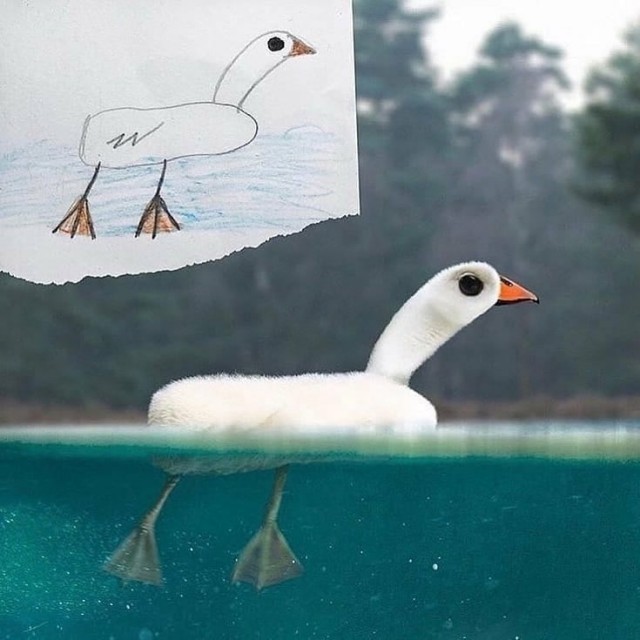 Я художник, я так вижу
