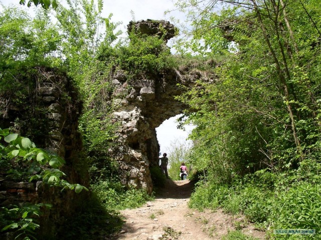 Десять замков Украины, которые стоит посетить