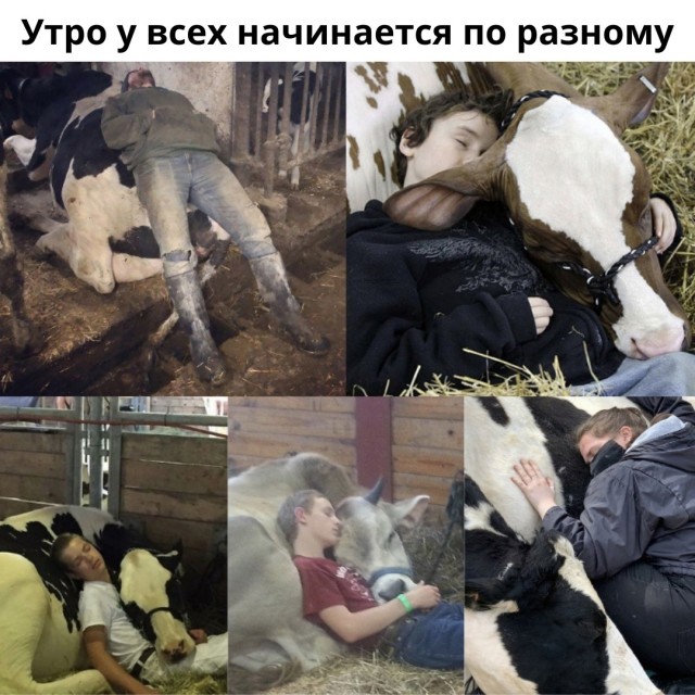 Алкопост 11.02.22