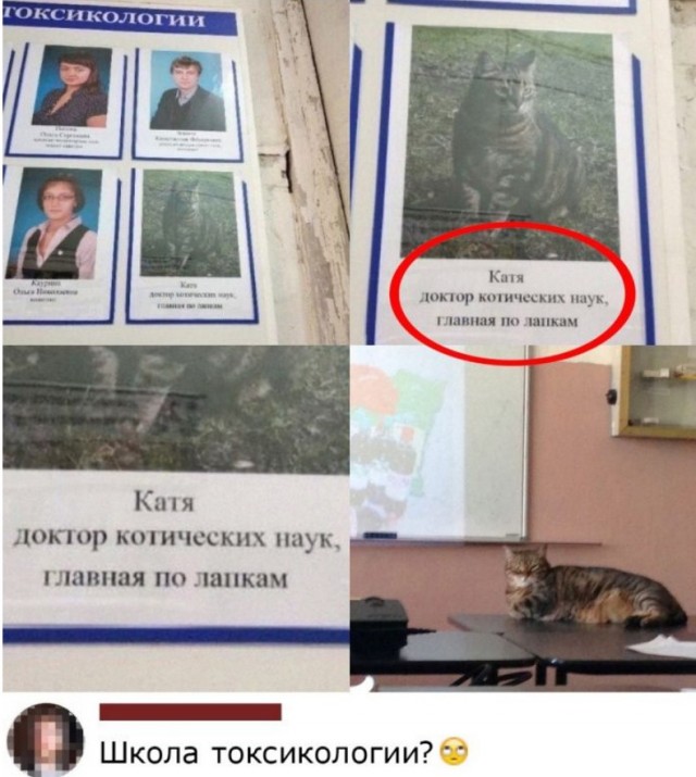 Так себе картинки 03.03.22