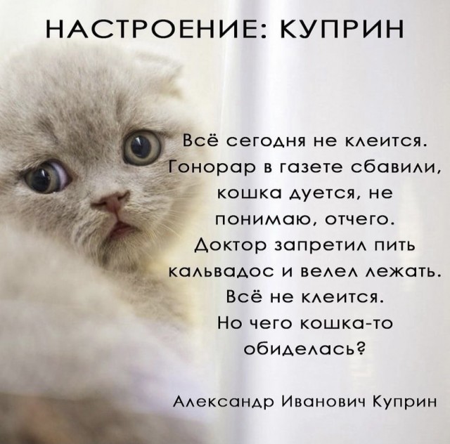 Чутка картинок Вам под выходные и для настроения! Смешные, пошлые и другие