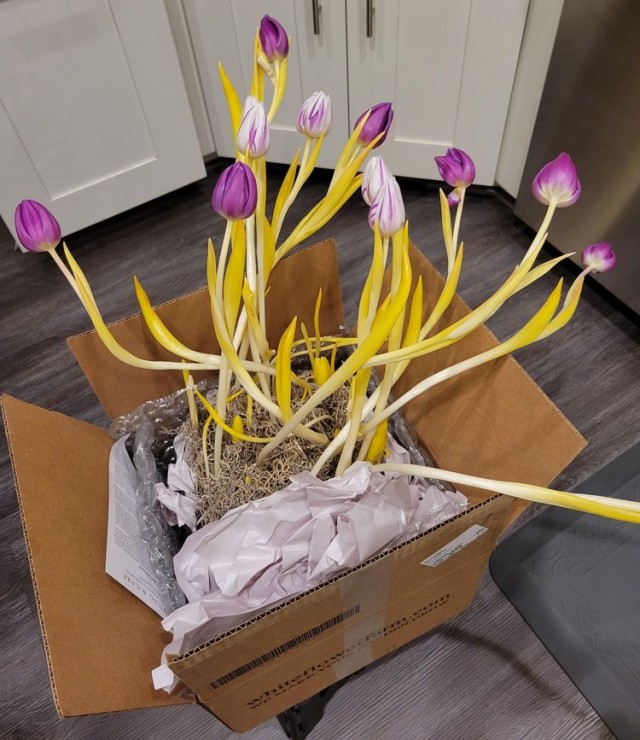 16 фотографий из разных сфер жизни, доходчиво объясняющих «Что будет, если…»