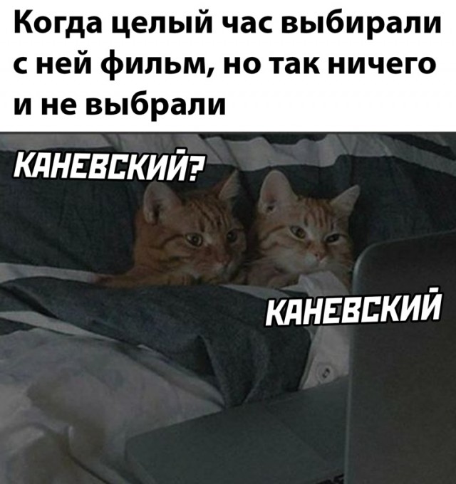 Весёлый полтишок 14.04.22