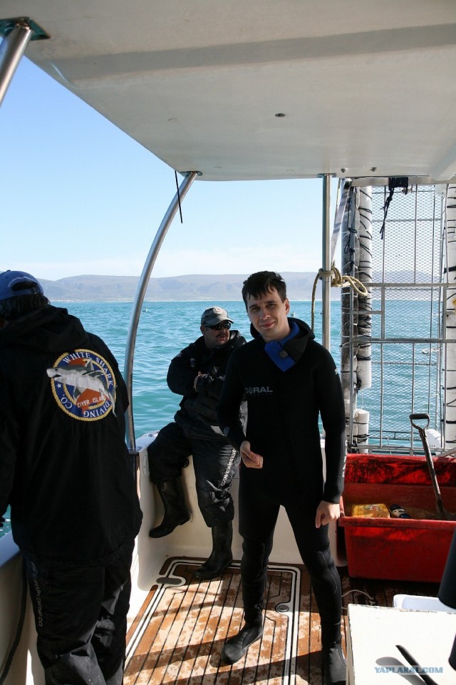 ЮАР, Замбия, Ботсвана