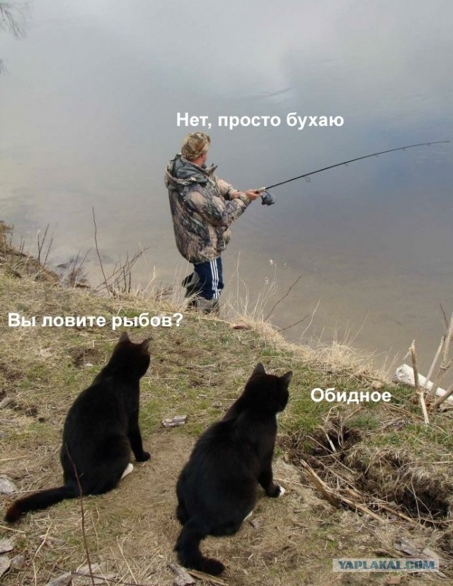 Хвастаюсь