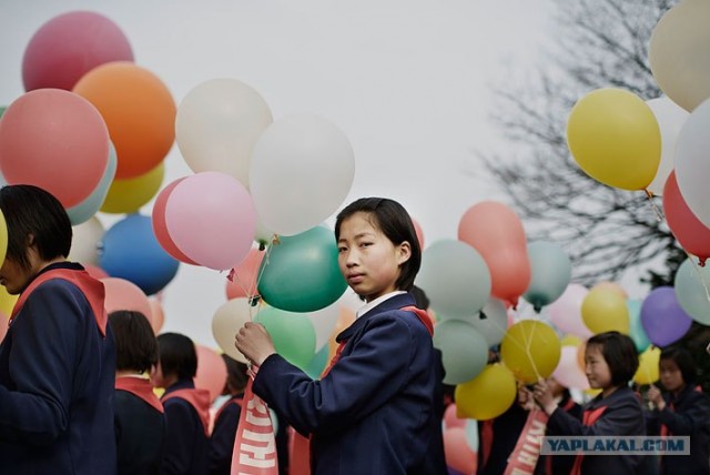 Северная Корея "в цвете"