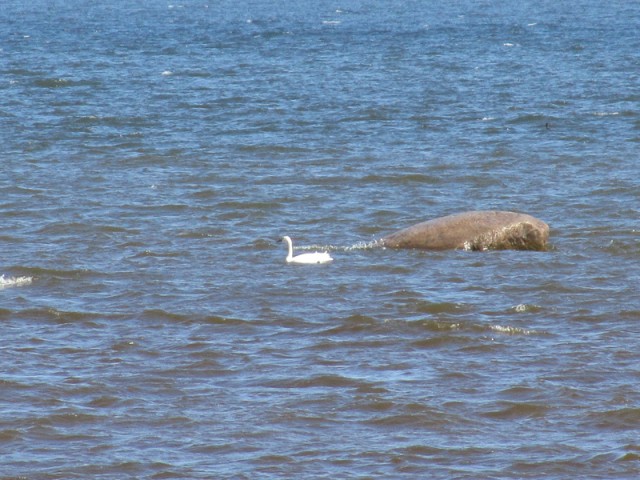 СПб глазами уставшего туриста...