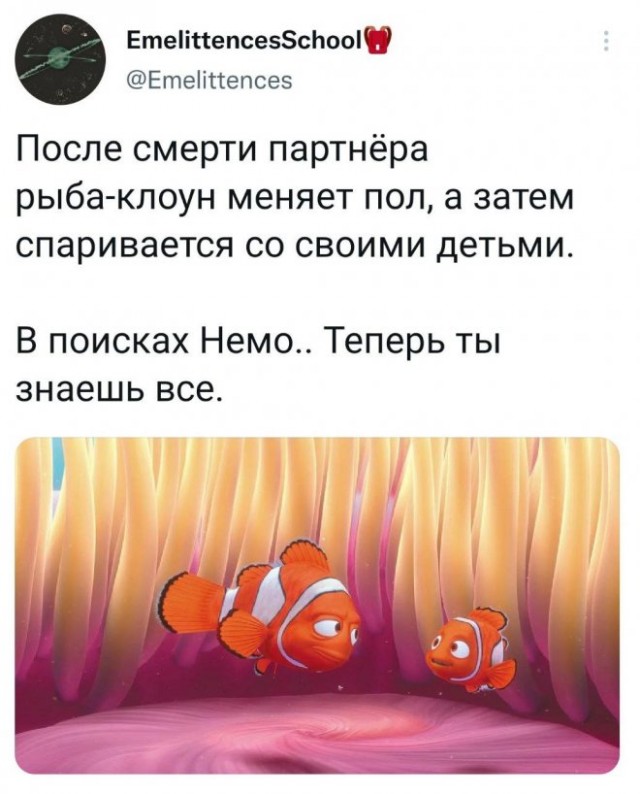 Немного картинок для настроения - 119