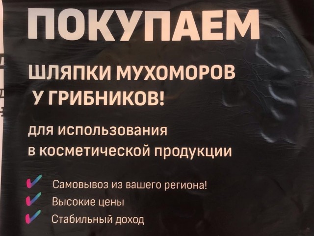 Сходил по грибы!