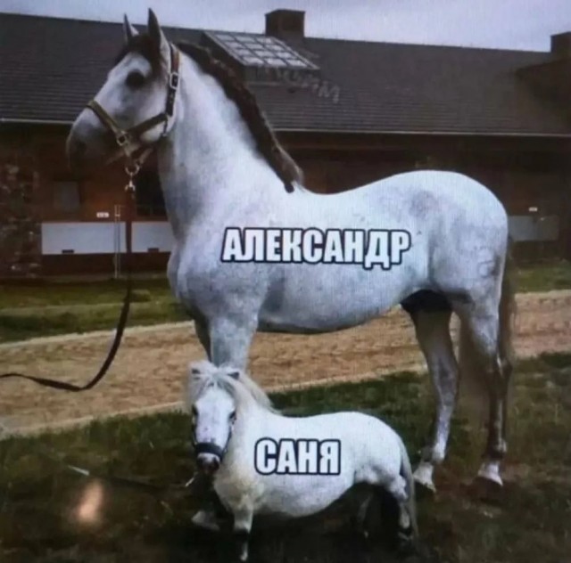 Народная меДИЧина 7037