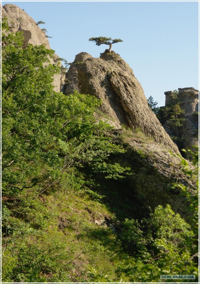 Крым. Южный Демерджи. Вершина.