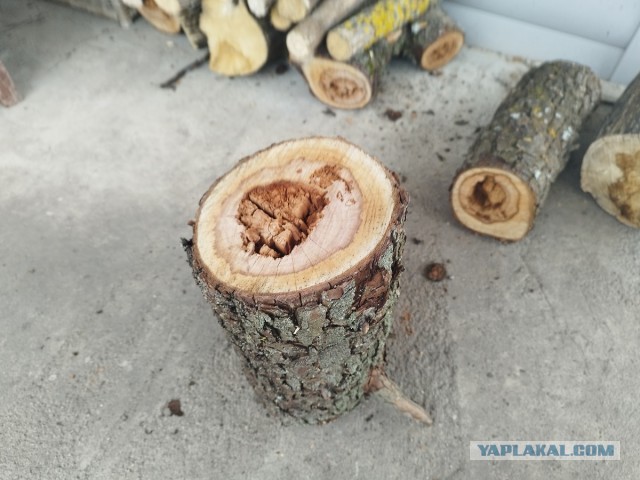 Как я делал синичник