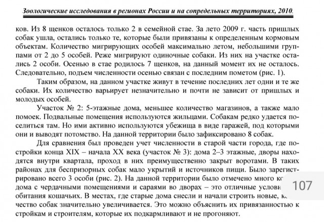 Регионам разрешили усыплять бездомных собак