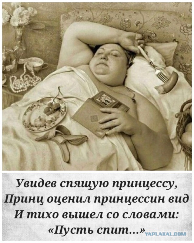 С новым 2024 годом ЯП!