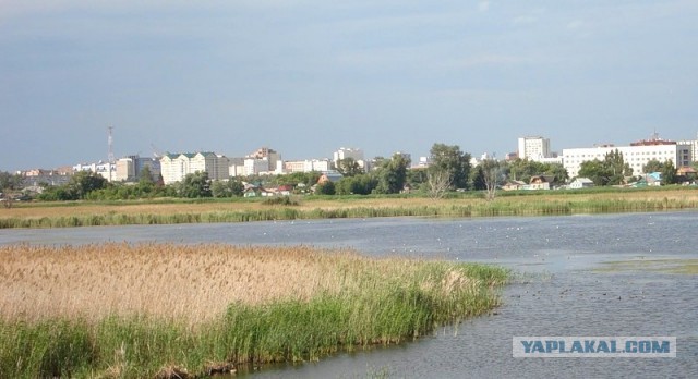 Омск