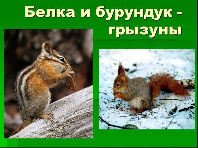 Я конечно многое в своей короткой жизни повидал....