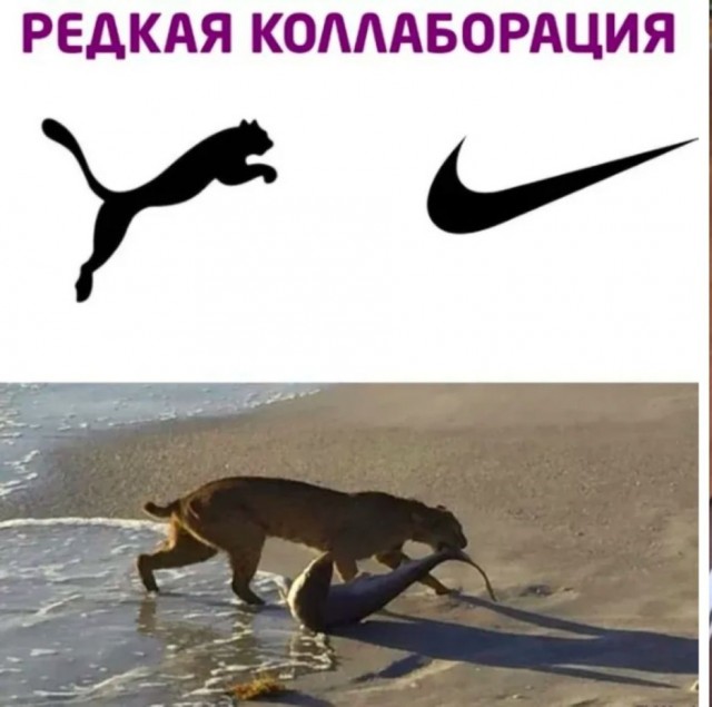 Нуштош 22.09.2023