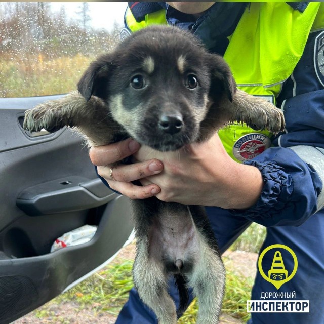 Новость четверговая