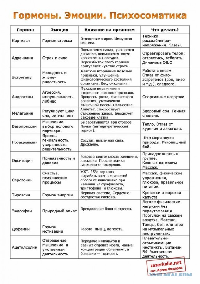 Химия и жизнь