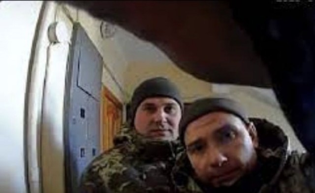 Кошка в ватсап скинула