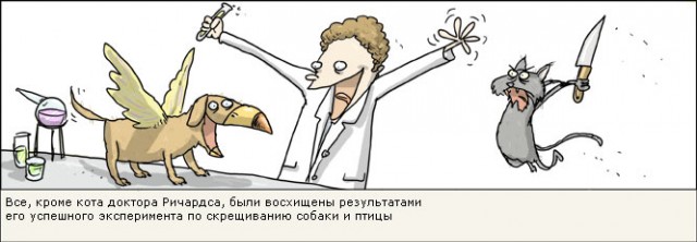 Похмельные боянчики