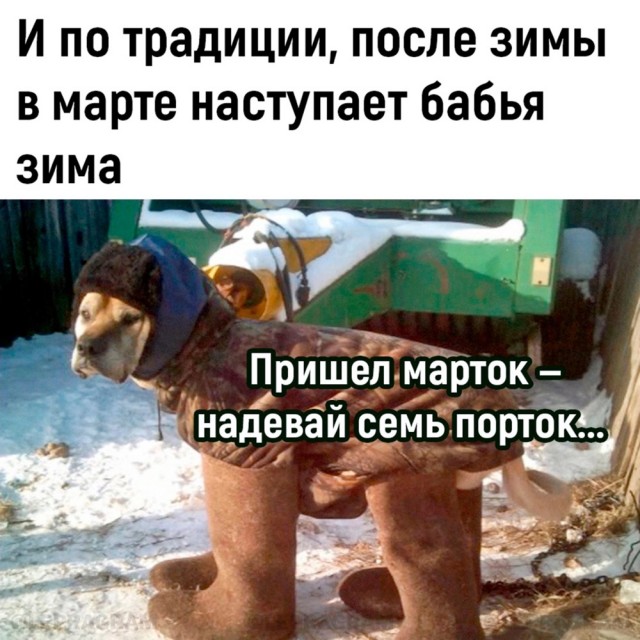 Тлидцать тли от 11 маЛта