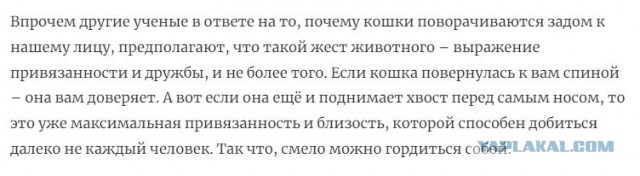 Те, кто без зазрения совести нарушают личное пространство человеков