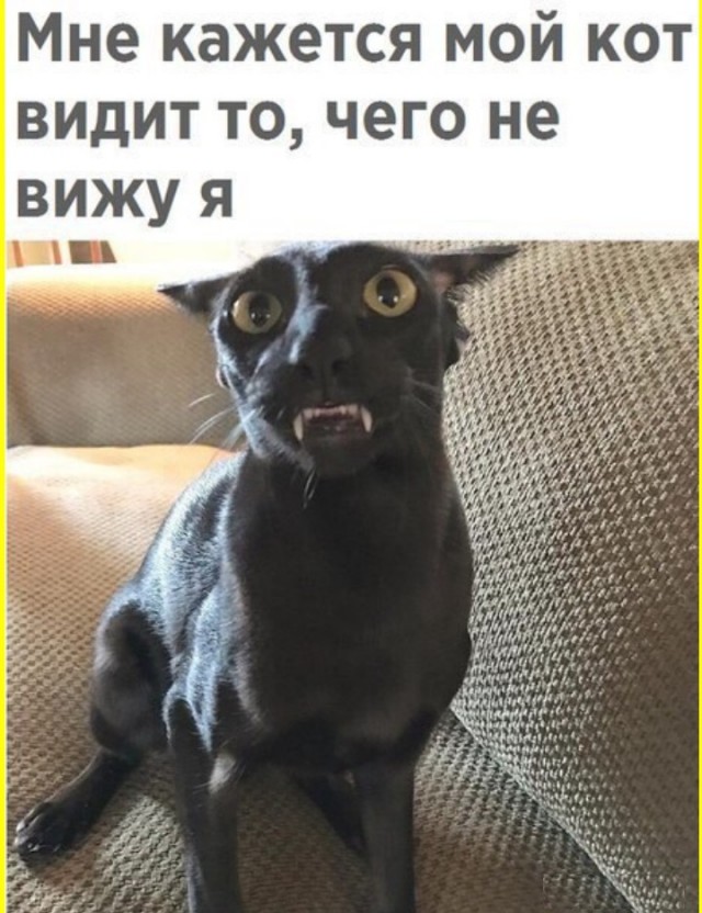 ТРРРидцать тРРРи от 8 апРРРеля