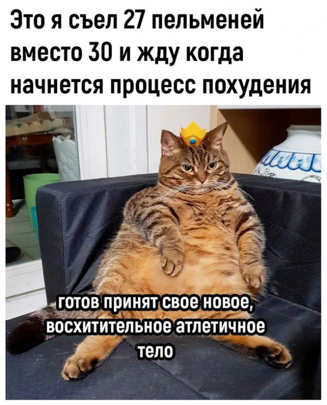 Весёлый полтишок 13.05 24