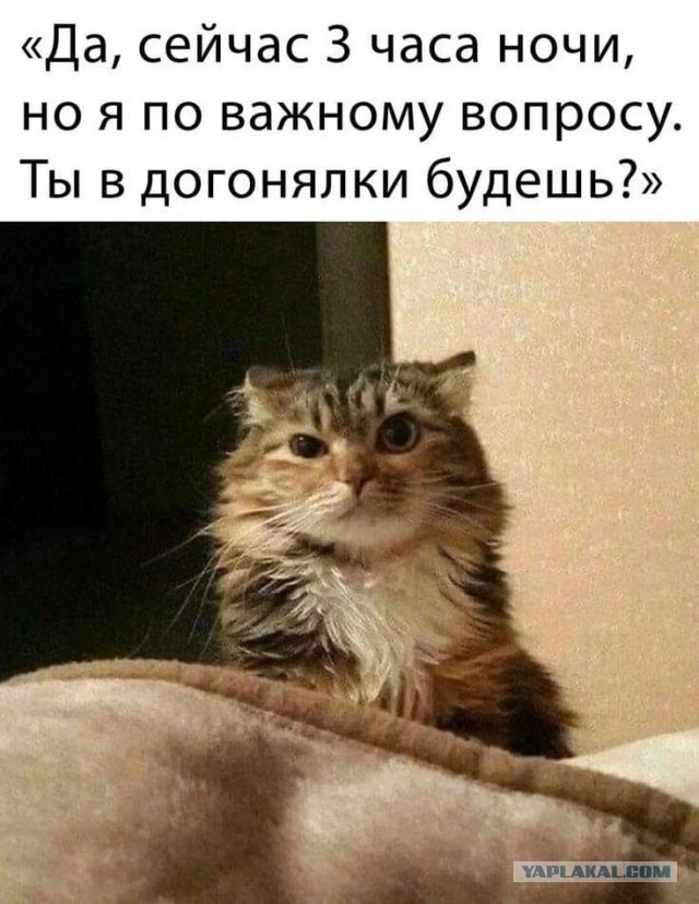 Настало время мести