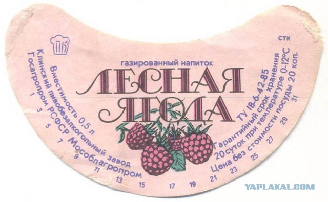 Этот придуманный в СССР уникальный напиток теперь нигде не купить: газировка со вкусом хвои и ананаса