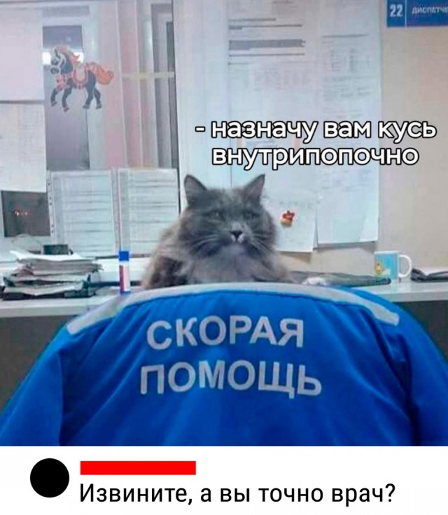 Так себе картинки 25.08.24