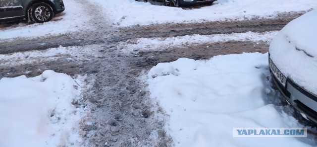 В Питере снова снег...