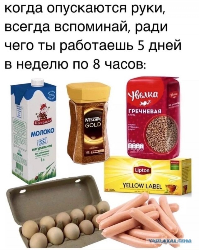 Последние забавные картинки перед любимым понедельником