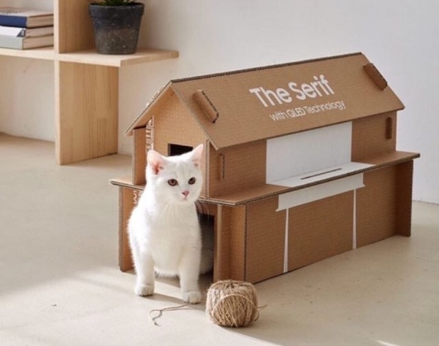 Самсунг думает о ваших котиках.