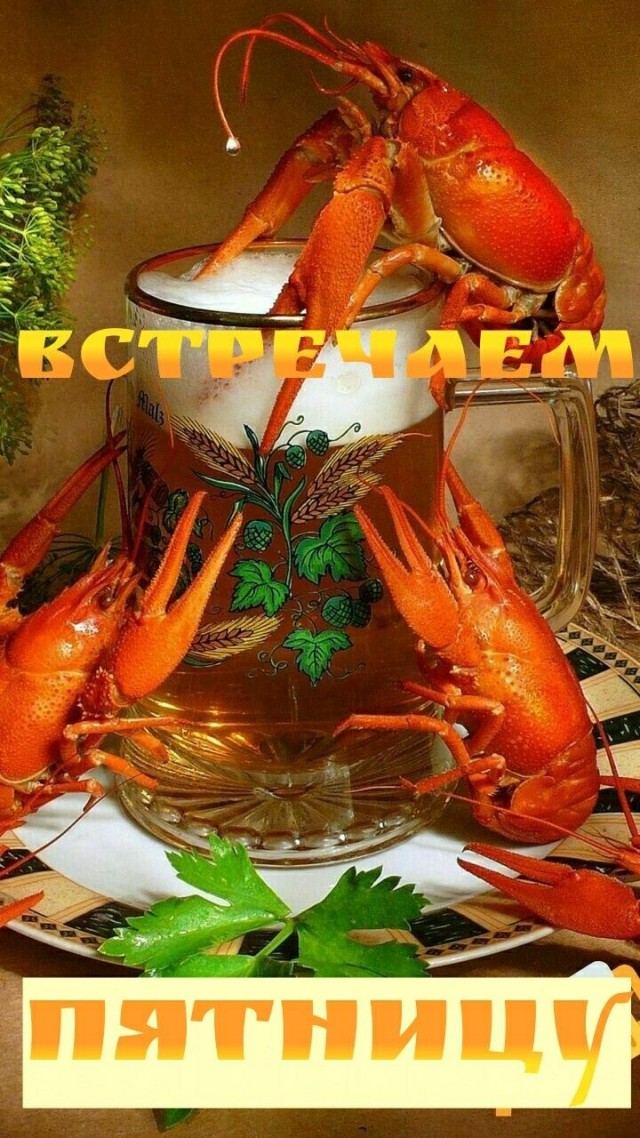 Прикольные и просто красивые картинки 16.05.2025