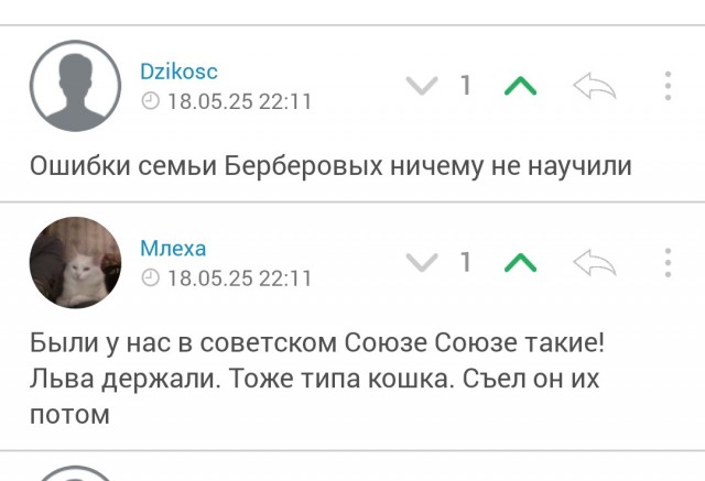 Домашний кот весом 600 кг
