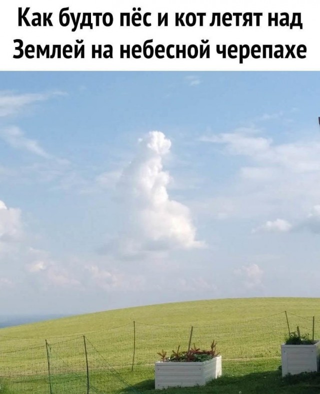 Так себе картинки 21.05.25