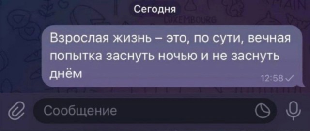 Нуштош 11.06.2025. Создания света, Создания тьмы(s4e1)