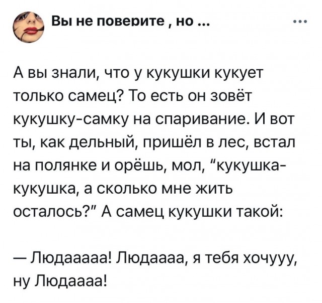 Веселые картинки в пятницу (25.07)