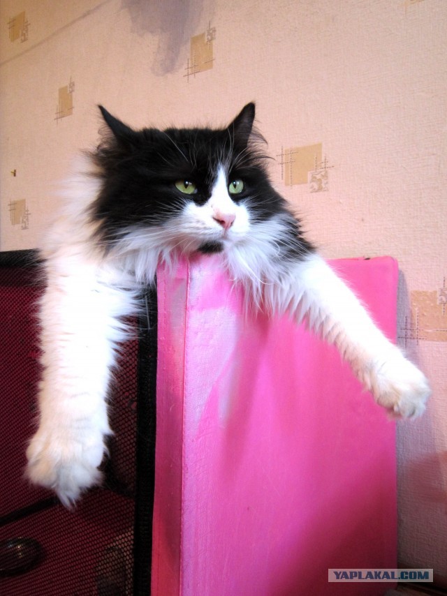 А ты живи с этим