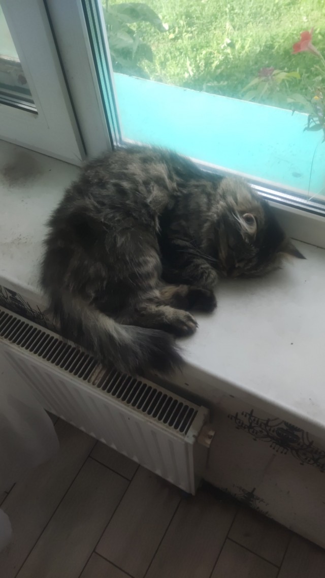 Ассорти