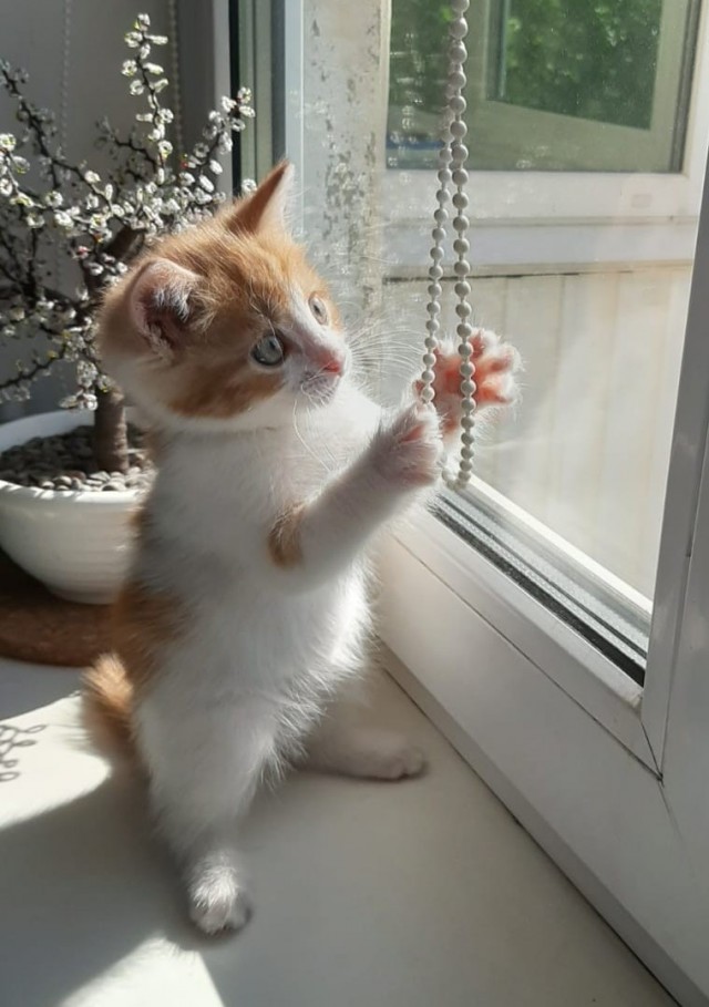 Ну и как такую ругать?